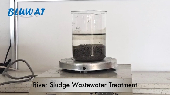 BV Anionic Polyacrylamide Flocculant River Sludge Wastewater Treatment Sludge Thickening