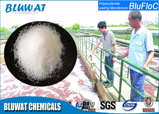 Bluwat Chemicals Cation Polyacrylamide For Paper Processing / Coal Mine Washing