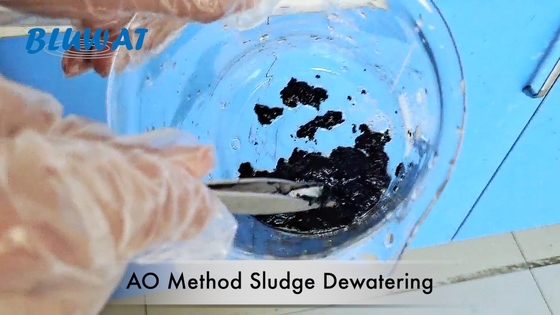 Anoxic Oxic AO Method Sludge Dewatering Anionic Polyacrylamide
