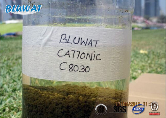 buy Biological Flocculant Cationic Polyacrylamide Sludge Dewatering Treatment online manufacture