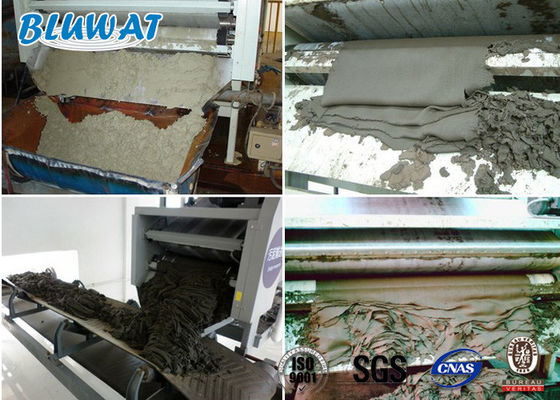 buy Sludge Dewatering Cationic Polyacrylamide CPAM Blufloc SGS BV Certificated online manufacture