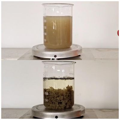 buy Papermaking Effluent Treatment Chemicals Decolor Agent Coagulant Color Remove 55295 98 2 online manufacture