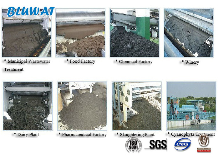 Cationic Polyacrylamide Flocculant for Pulp and Paper Sludge Dewatering Treatment