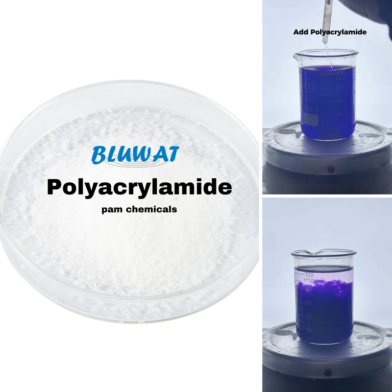 PAM Chemical Anionic Polyacrylamide Powder Wastewater Treatment High Effictive