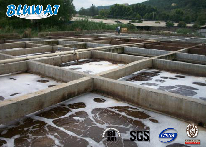 Aquaculture Wastewater Treatment With Food Grade Polyaluminium Chloride PAC
