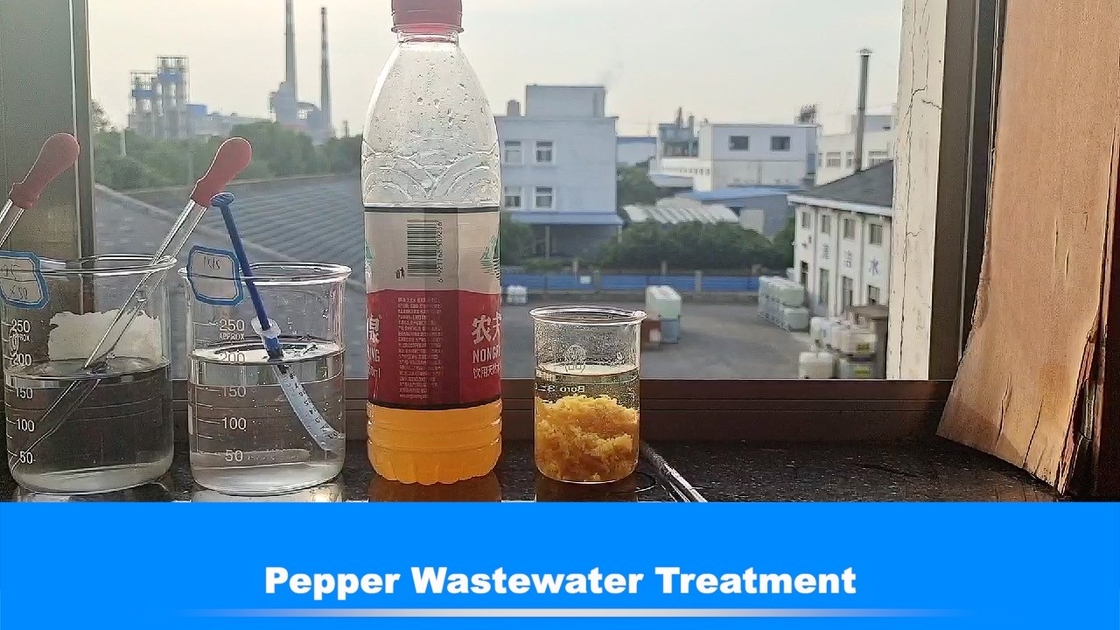 50% Food Process Pepper Bluwat Decoloring Agent Wastewater Treatment