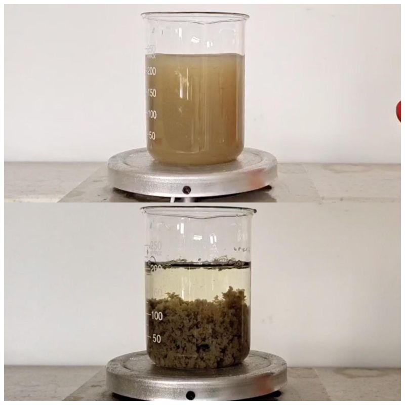 Papermaking Effluent Treatment Chemicals Decolor Agent Coagulant Color
