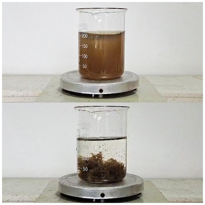 50 - 55% Solid Content Colour Removal Chemical For Mushroom Food Processing Wastewater
