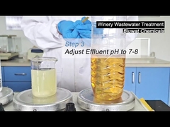 How to treat Winery Wastewater?