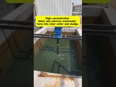 Turning Black Odorous Wastewater into Clear Water | Flocculant & Treatment Process