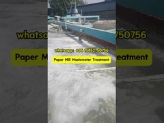 Paper Mill Wastewater Treatment Using Chinese Manufacturer's Coagulants and Flocculants