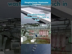 Slaughterhouse Wastewater Turns Crystal Clear | Bluwat Chemicals