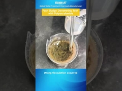 Sludge Dewatering in Minutes with Polyacrylamide